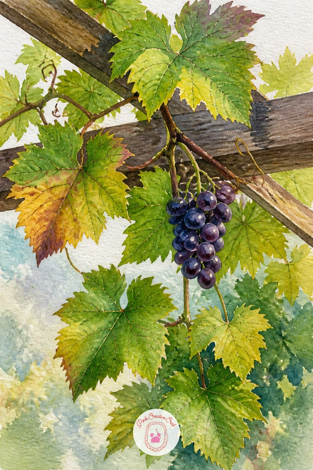 A Vine of Grape Leaves on a Pergola — Grape leaves bring a broad, deeply lobed shape with a slightly fuzzy texture, draped here along a simple wooden pergola