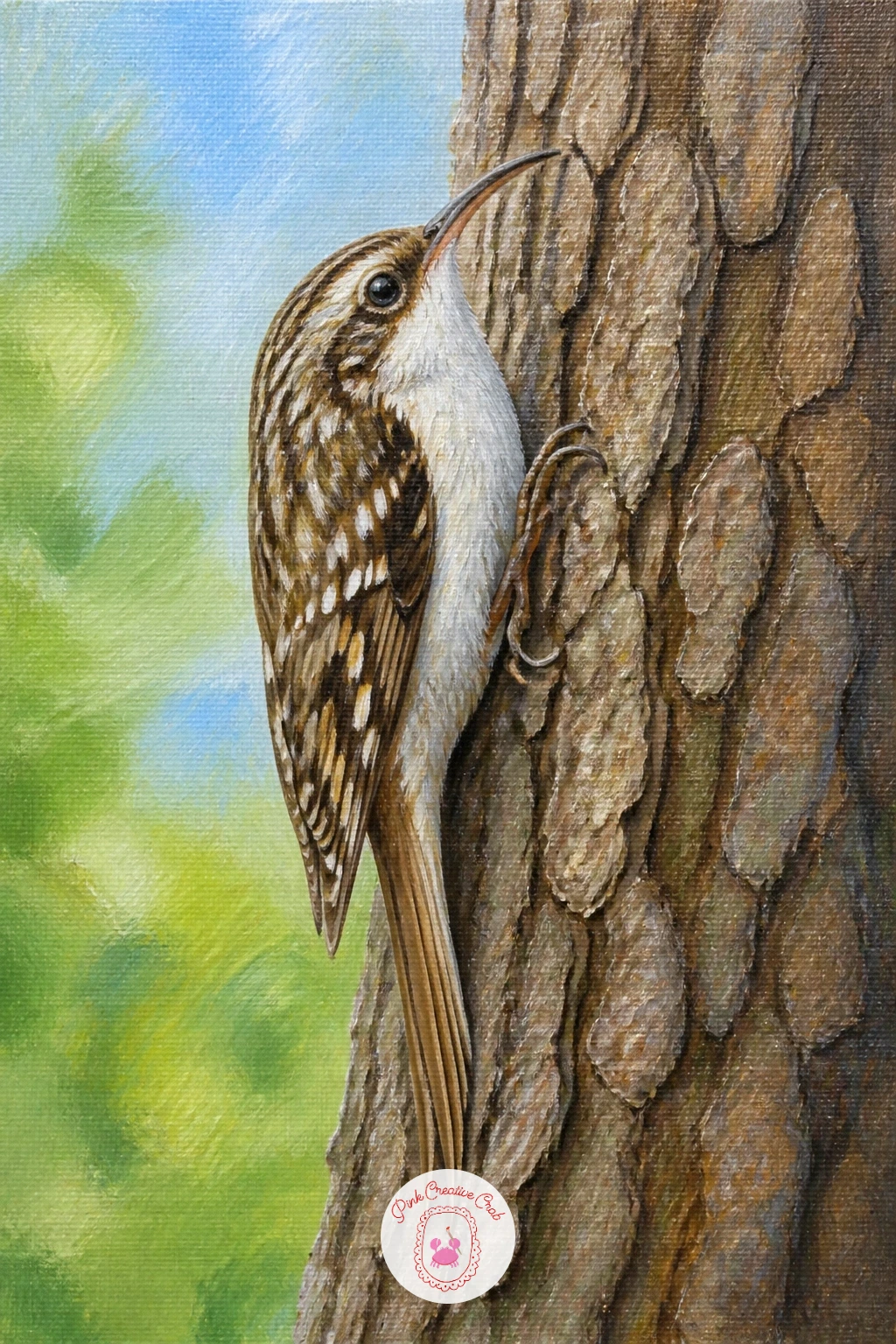 Treecreeper Climbing Bark — Try a treecreeper next, a slim bird climbing straight up a trunk with its tail pressed flat against the bark for support. Owl
