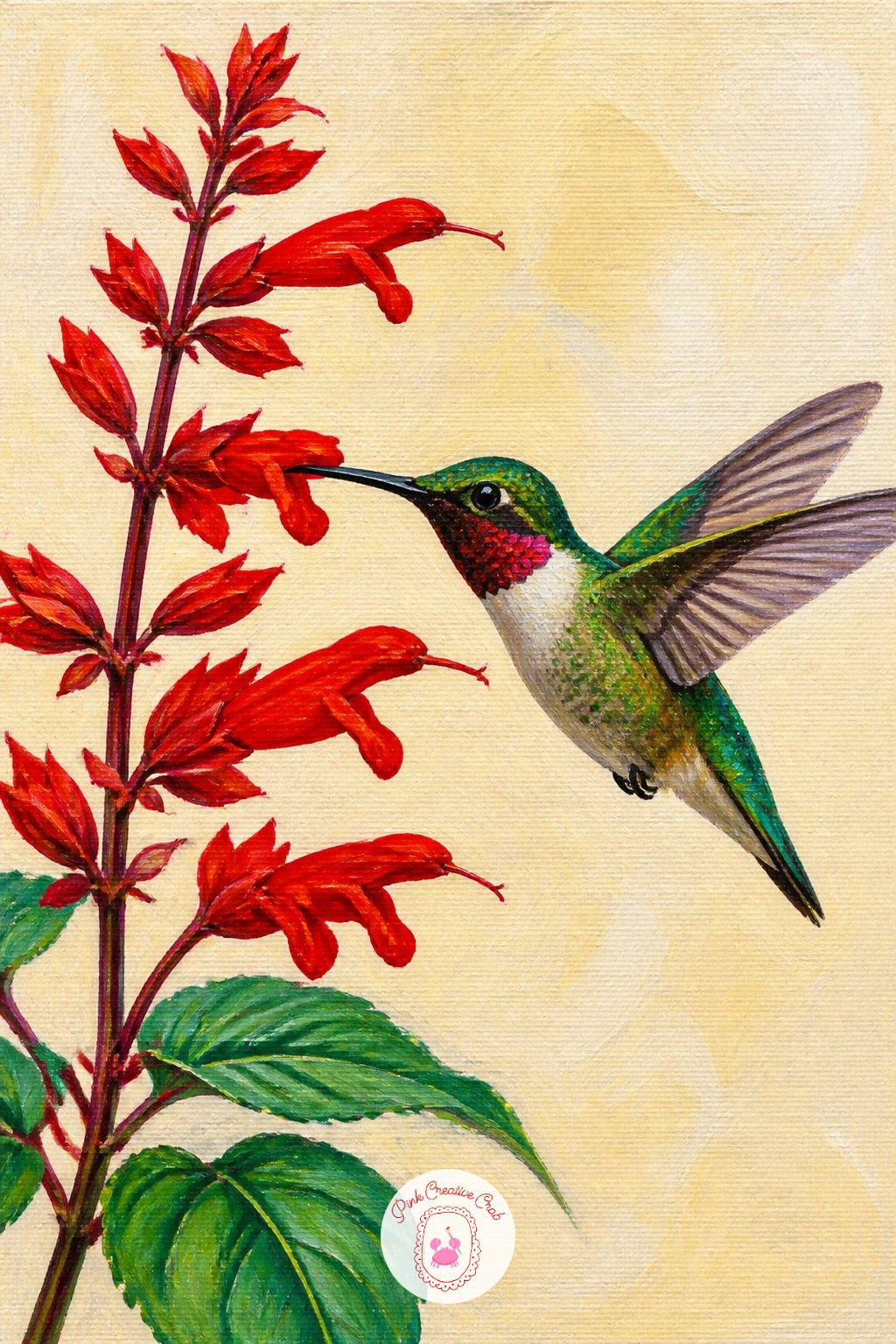 Hummingbird at Red Salvia — Salvia spikes are a gift for painters because they are just a row of small tubular flowers stacked up a stem, so build the spike