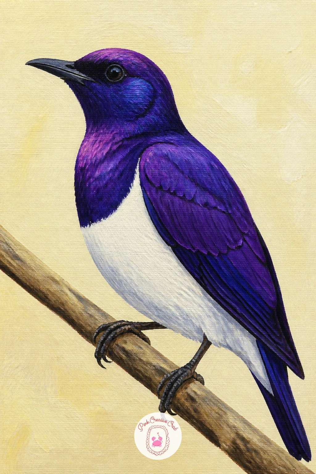 Violet-Backed Starling — This small starling shows off a deep violet sheen across its back that shifts with the light, which makes it a natural subject for