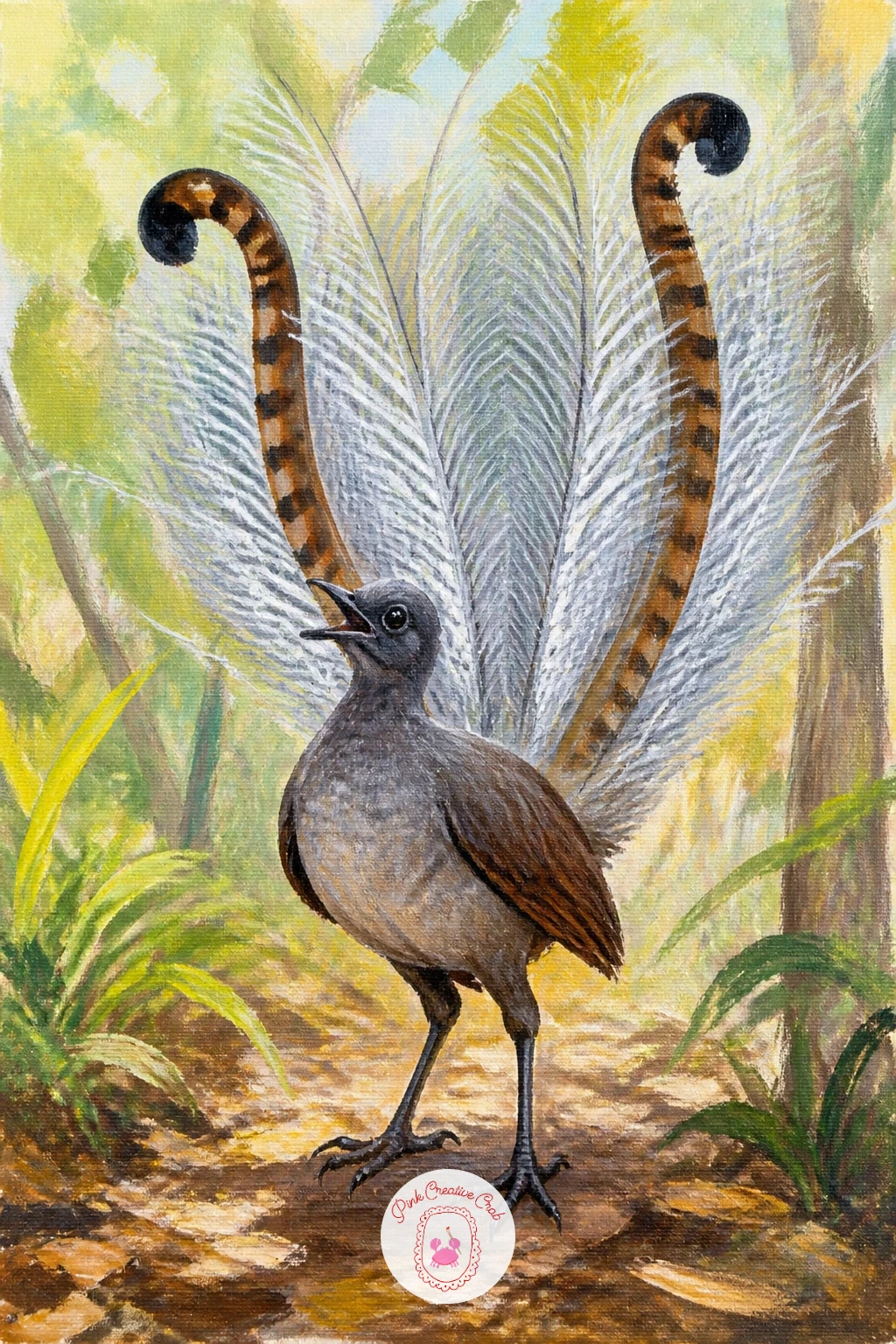 Lyrebird Displaying Its Tail — Give yourself a showpiece with a lyrebird displaying its tail, fanned wide into its famous lyre shape. Koala painting