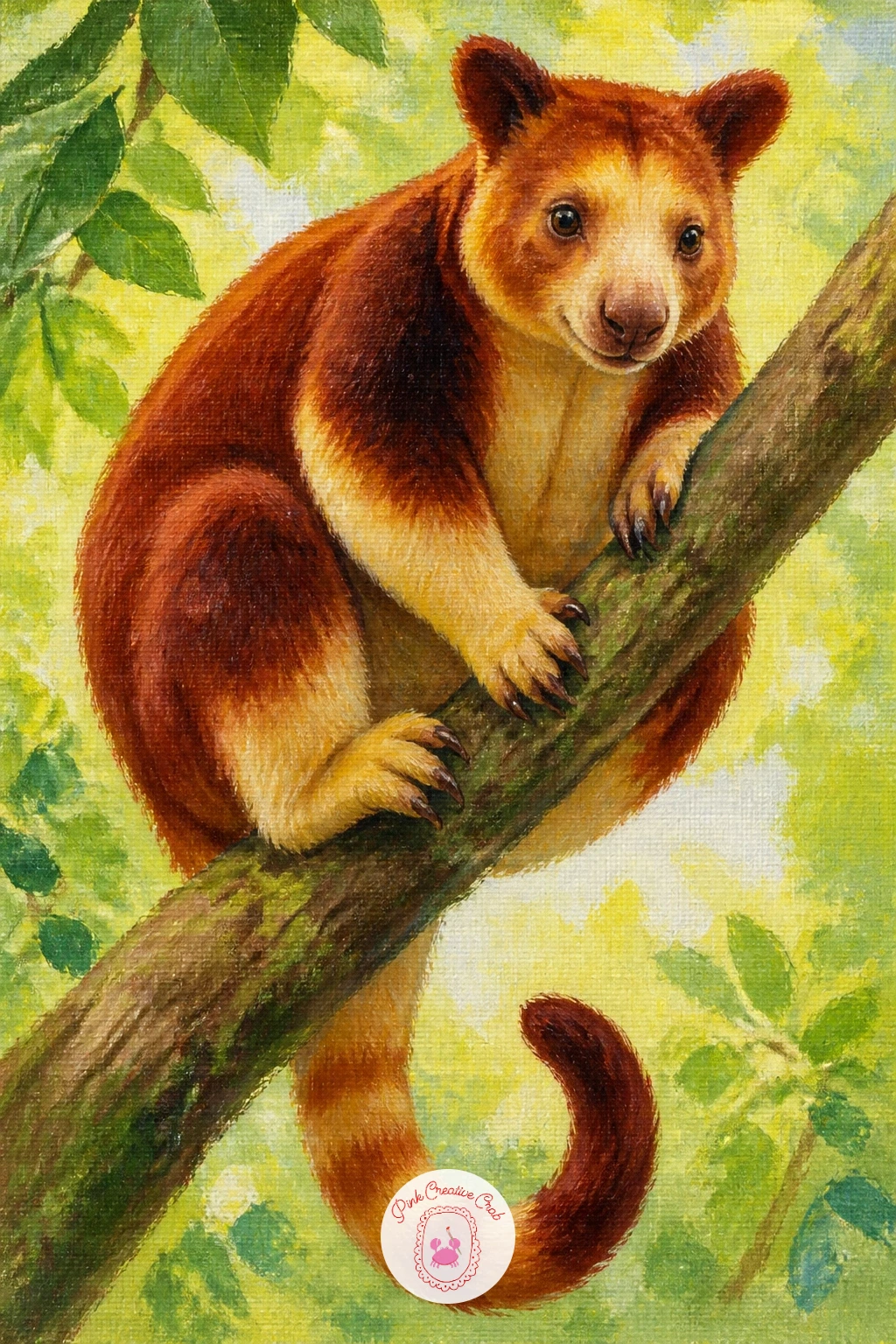 Tree Kangaroo — Return to the trees with a tree kangaroo, a surprising cousin of the ground kangaroo that climbs rather than hops. Koala painting