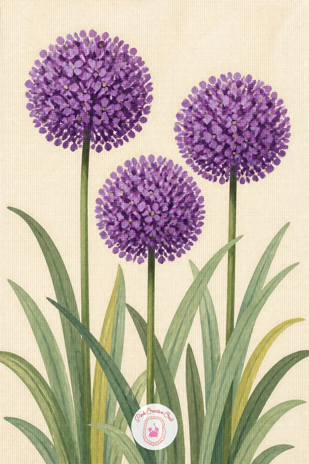 Alliums Like Purple Balls In A Garden — Alliums like purple balls in a garden move the list on from irises into the wider world of purple blooms, and they are