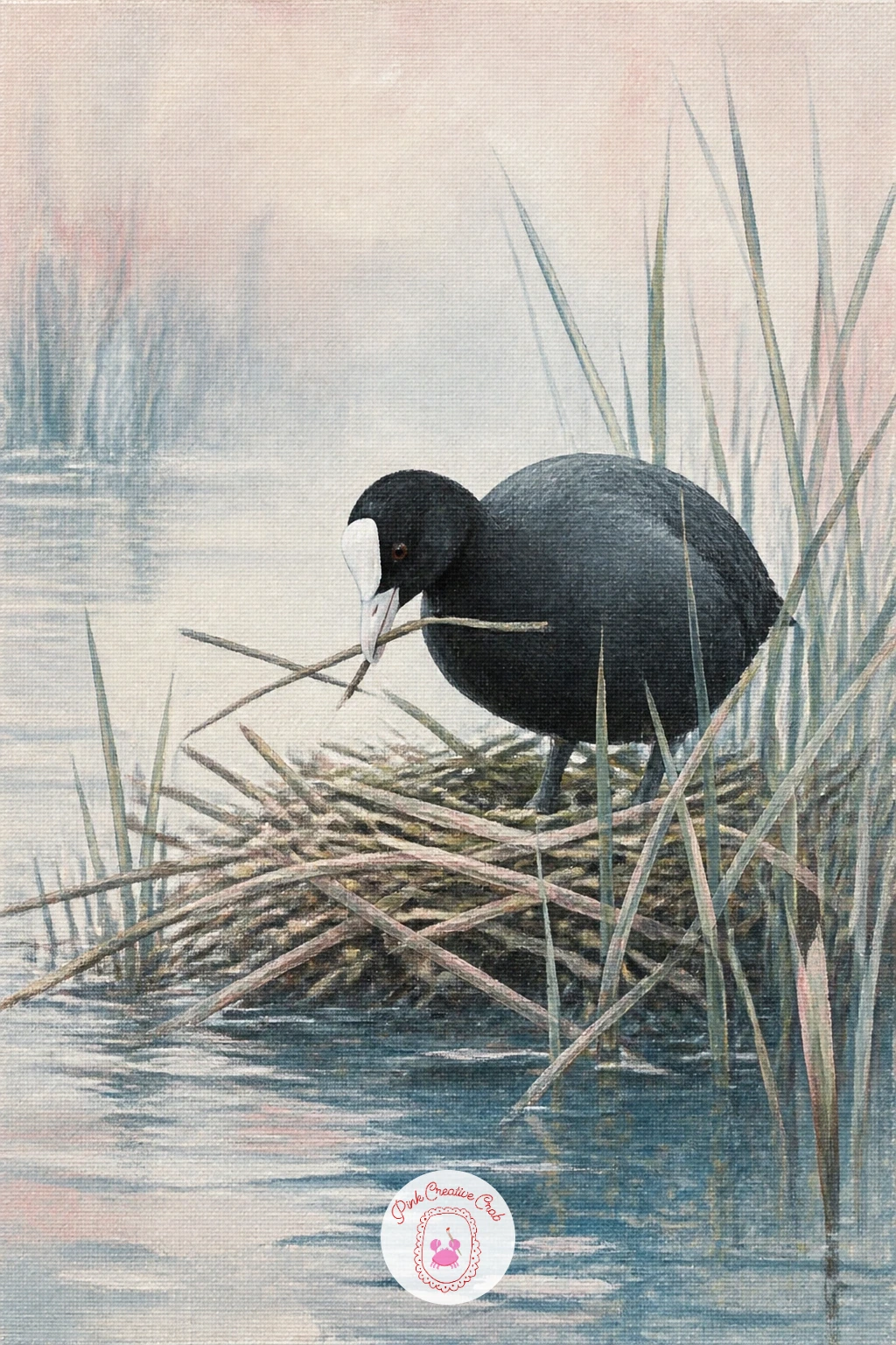 Coot Building a Nest — Keep the mood industrious with a coot building a nest, caught mid-task among reeds and floating twigs. Swan painting