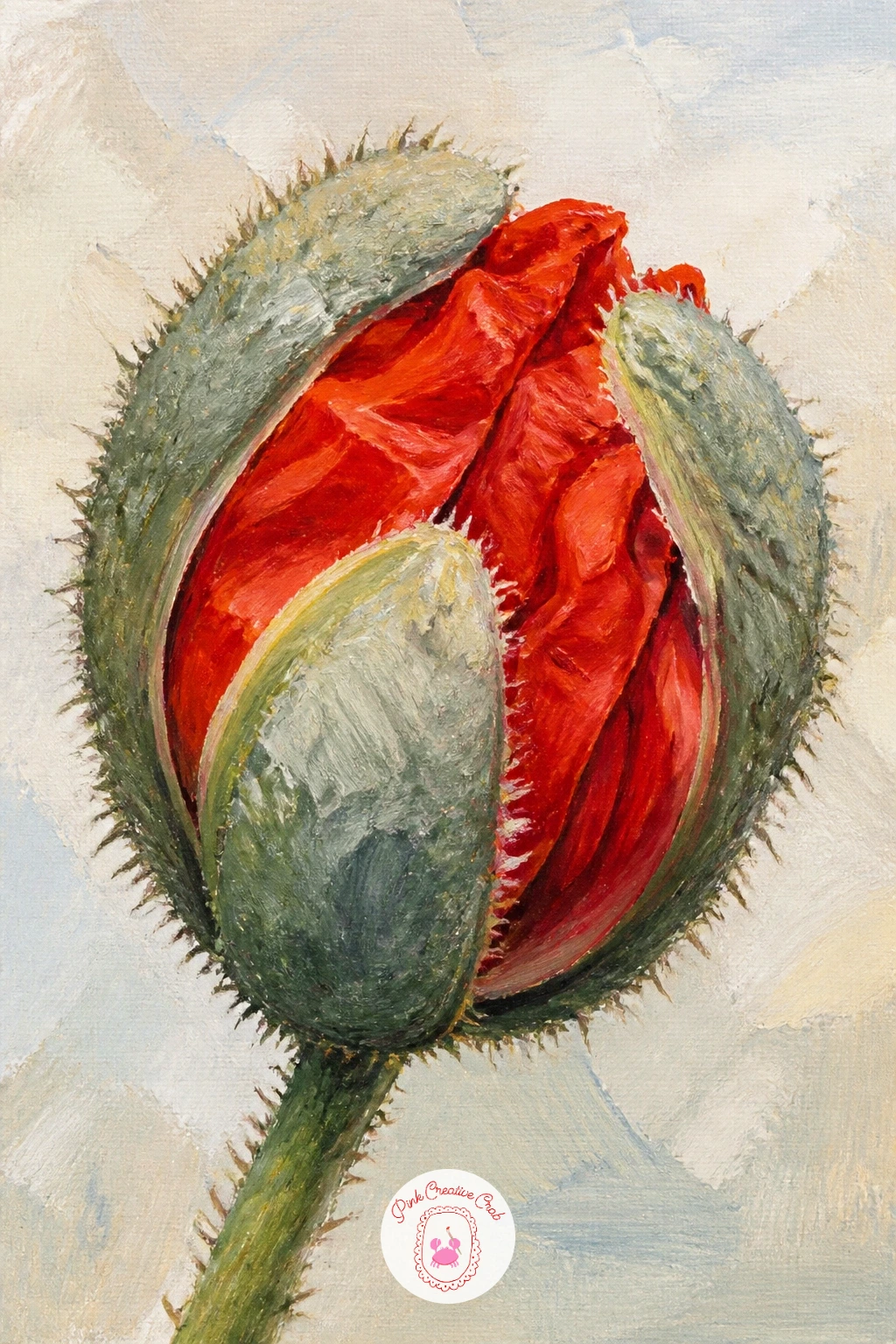 Poppy Bud Bursting Open — Slow down and study one small moment with a poppy bud bursting open, the papery outer sepals peeling back as the crumpled red petals
