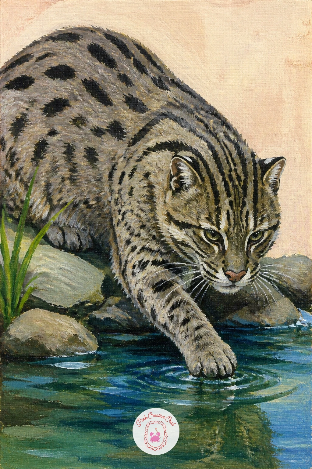 Fishing Cat by a Stream — Fishing cat by a stream pairs a sturdy, stocky build with water, giving you another chance to practice that wet reflection trick from