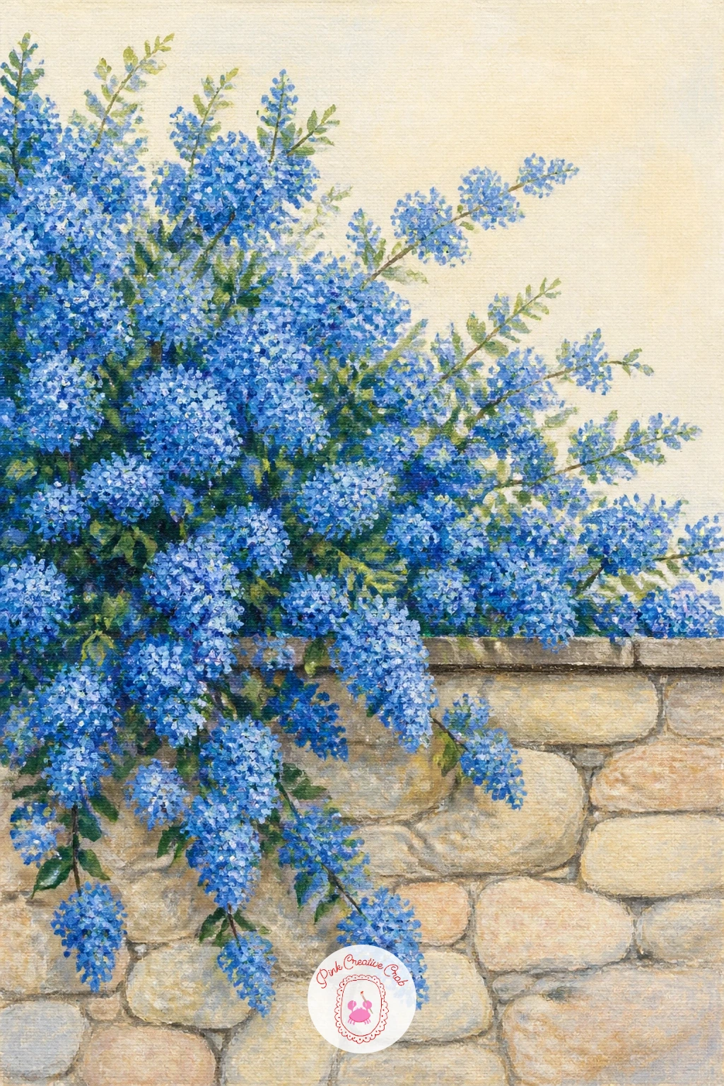 Ceanothus Over a Garden Wall — Return to a larger shrub with ceanothus, sometimes called California lilac, tumbling in a cloud of tiny blue blooms over a