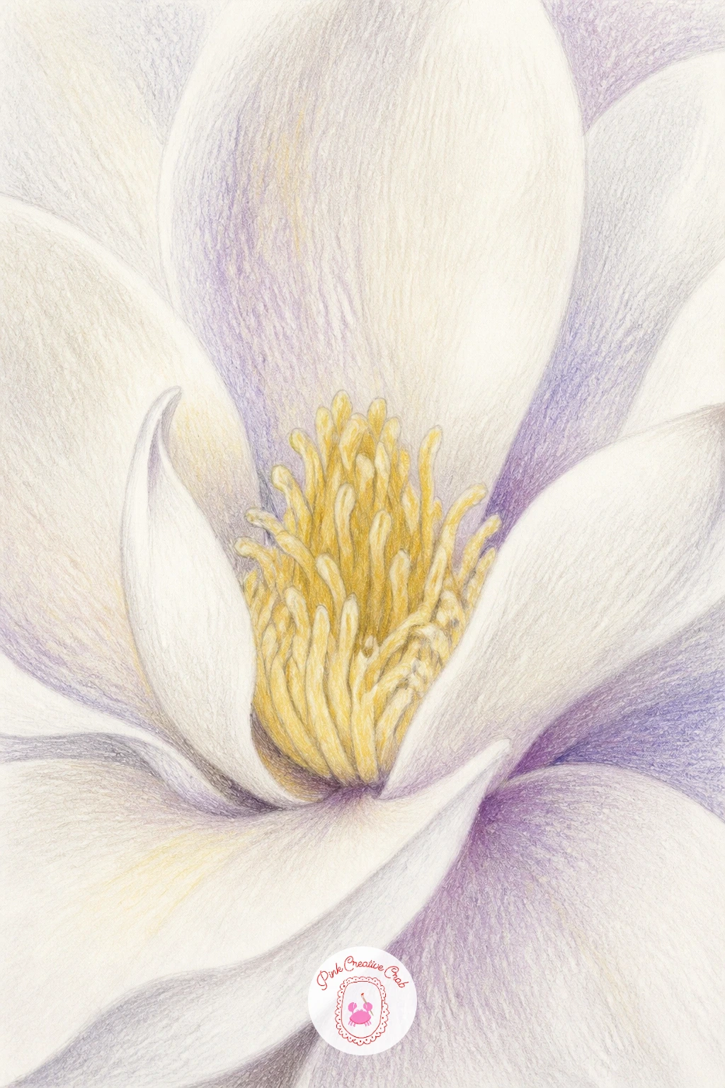 White Magnolia Close-Up — Zooming in close means the petal edges carry the whole drawing, so this is the idea to practice lifting color for texture. Magnolia