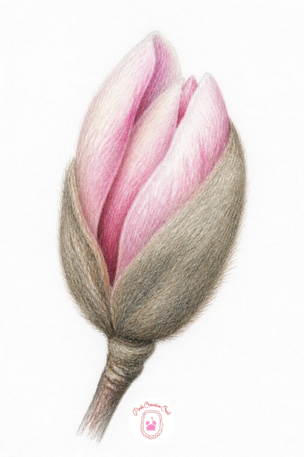 Magnolia Bud Opening — Capture a bud mid-opening rather than fully closed or fully bloomed, since that in-between moment is what makes this idea interesting.