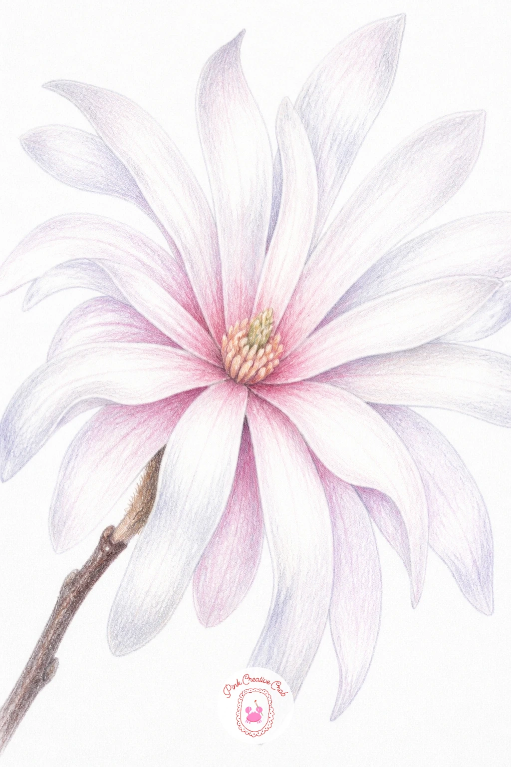 Star Magnolia — Star magnolias differ from the classic cup-shaped bloom in one key way, so measure before shading: count the narrow, strap-like petals