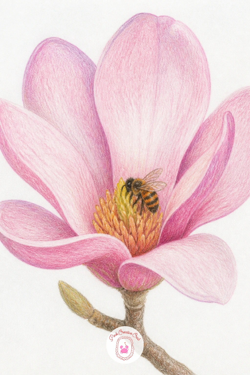 Magnolia With a Bee — Scale matters enormously once an insect joins the scene, so compare the bee's body length to a single petal's width before drawing it in