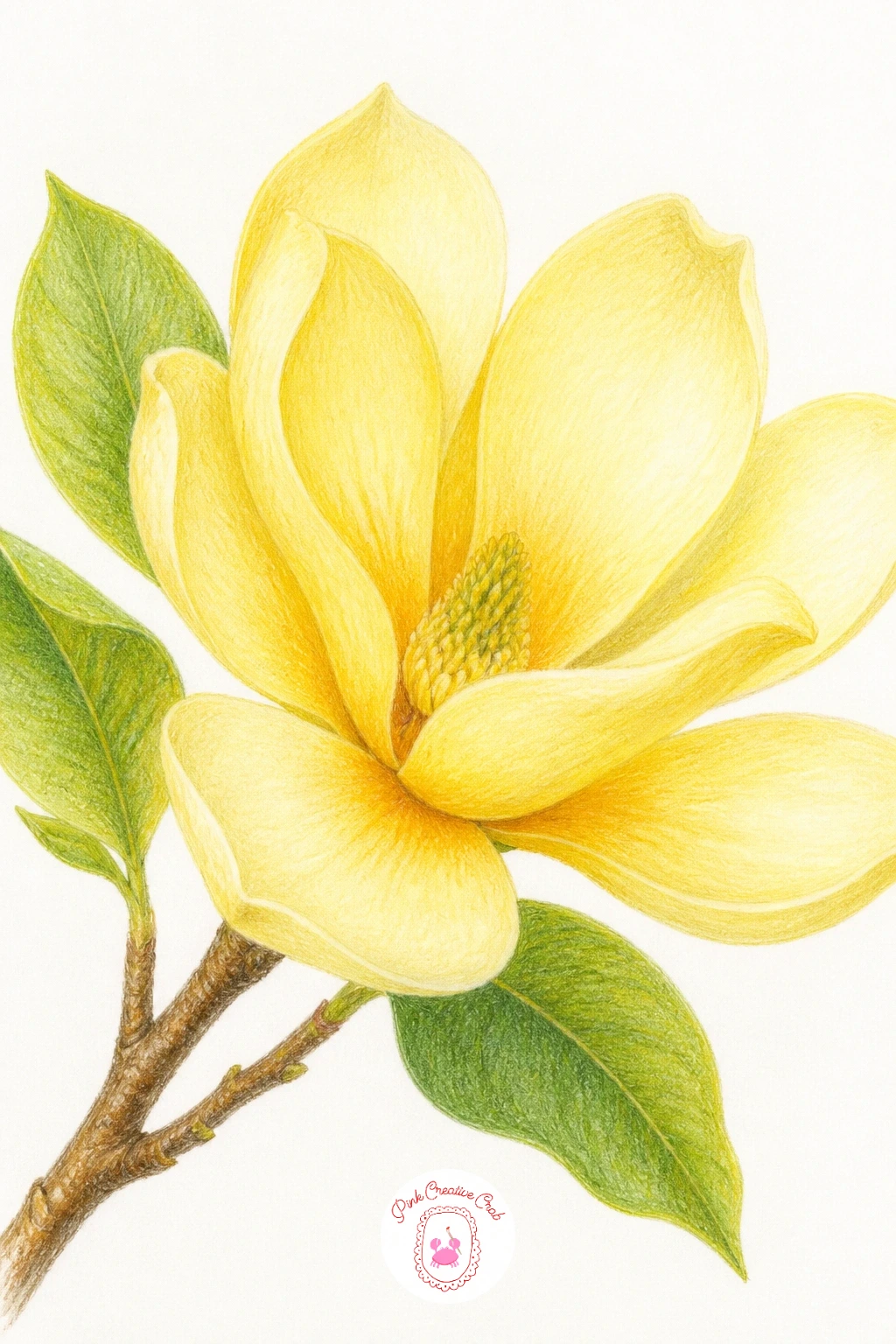 Yellow Magnolia — Vary the usual palette for this one, since yellow magnolias exist and make a lovely change of pace once the pink and white versions feel