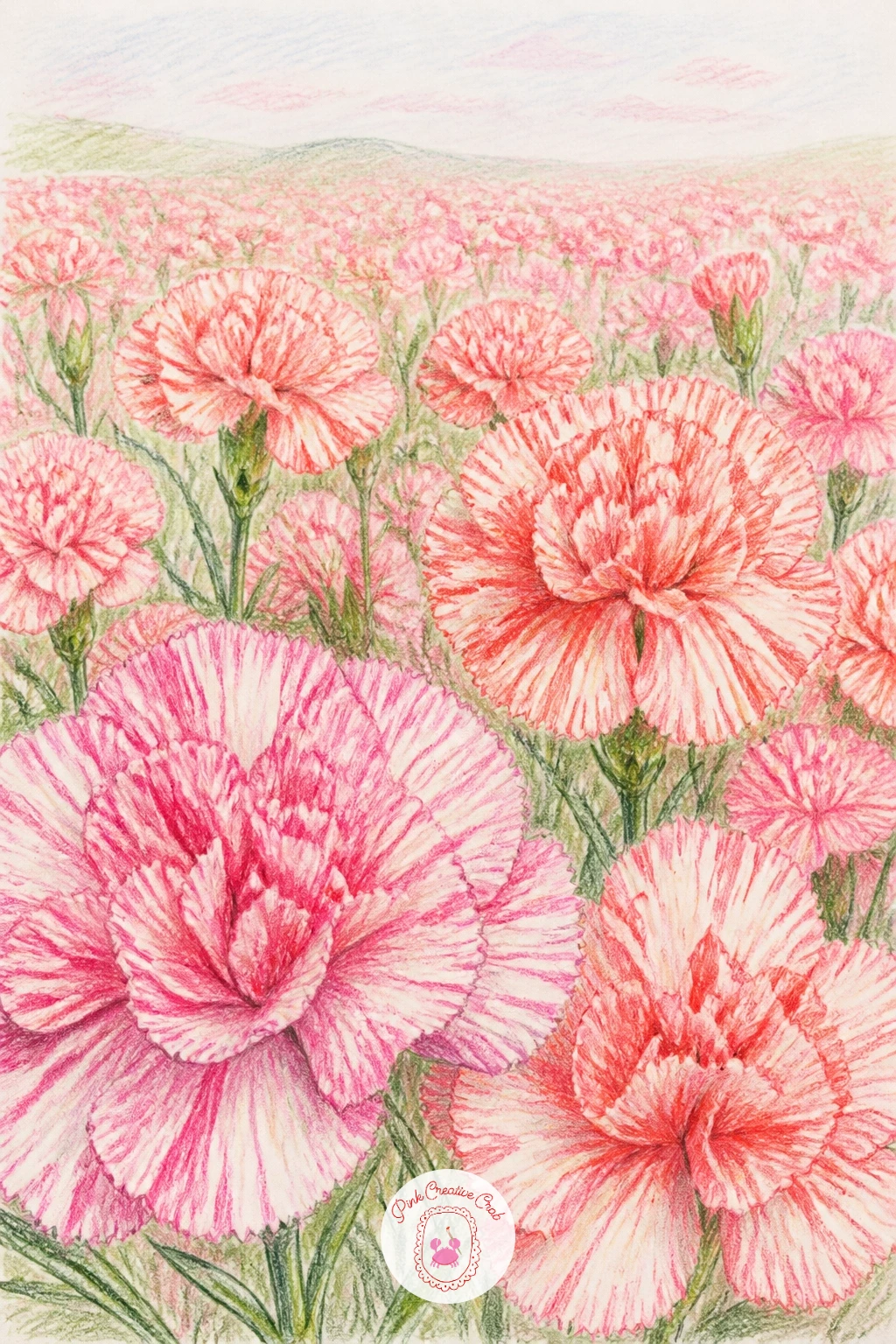 A Field Of Striped Carnations — A field of striped carnations is where perspective comes in, since a field reads as a field only once you place blooms at