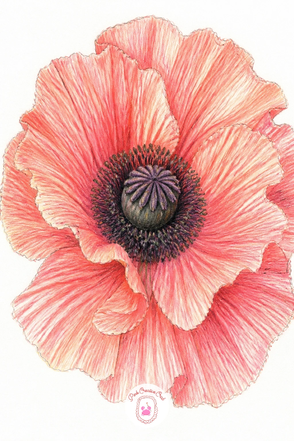A Ruffled Poppy — A ruffled poppy brings in paper-thin petals that practically beg for a lifting technique once the color is down. Carnation drawing