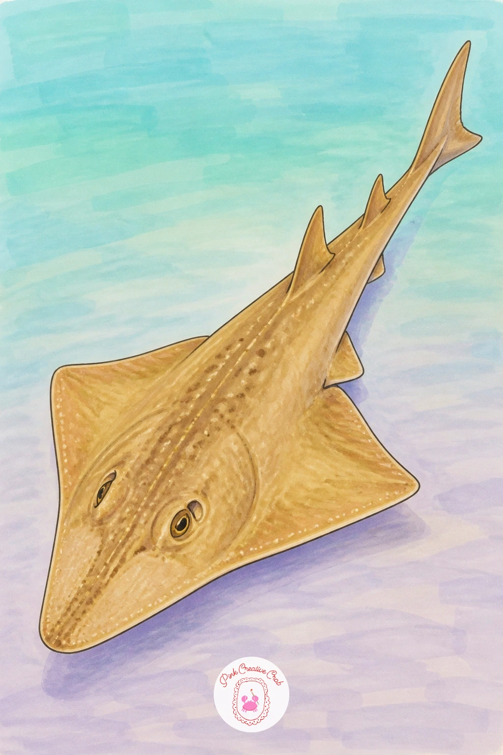 Guitarfish — Return briefly to the ray family with a guitarfish, a curious creature that looks like a cross between a shark and a ray and is named for its