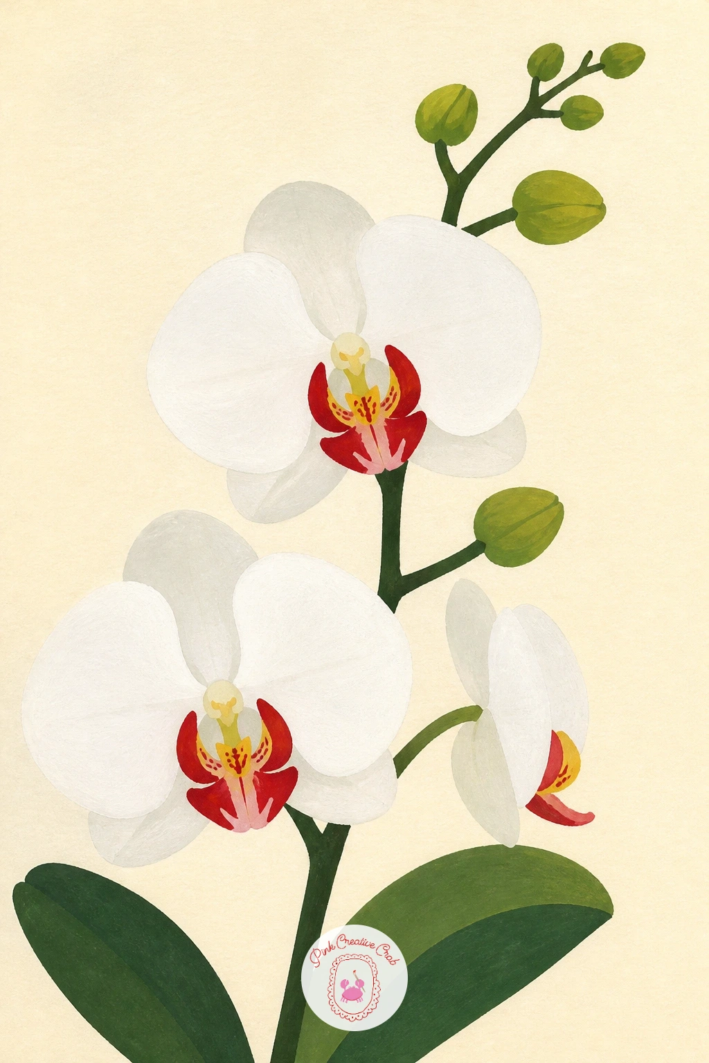 Moth Orchid with Buds — Return to a familiar favorite with a moth orchid, but this time include its buds along the stem rather than only open flowers, since