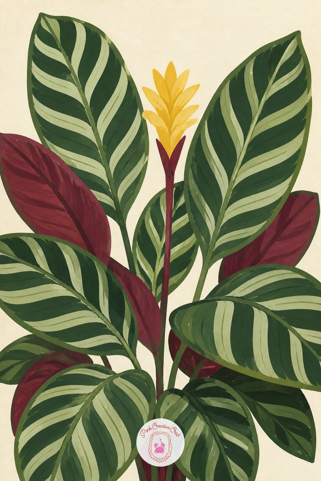 Striped Calathea in Bloom — Paint a striped calathea in bloom, a houseplant known for its leaf pattern but worth showing with its small cone-shaped flower too.