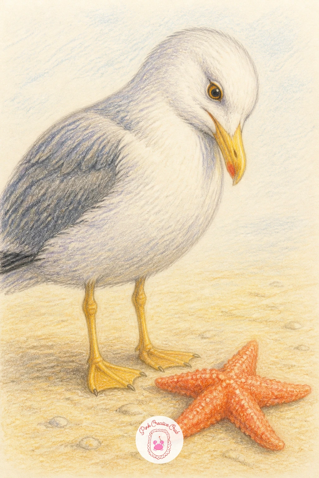 Gull Eyeing a Starfish — Add a little tension with a seagull eyeing a starfish from nearby, a scene built on gesture and glance. Starfish drawing