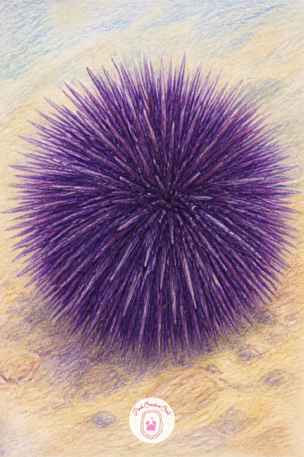 Sea Urchin — Follow the brittle star with a sea urchin, a round, spiny subject that is really an exercise in edges. Starfish drawing