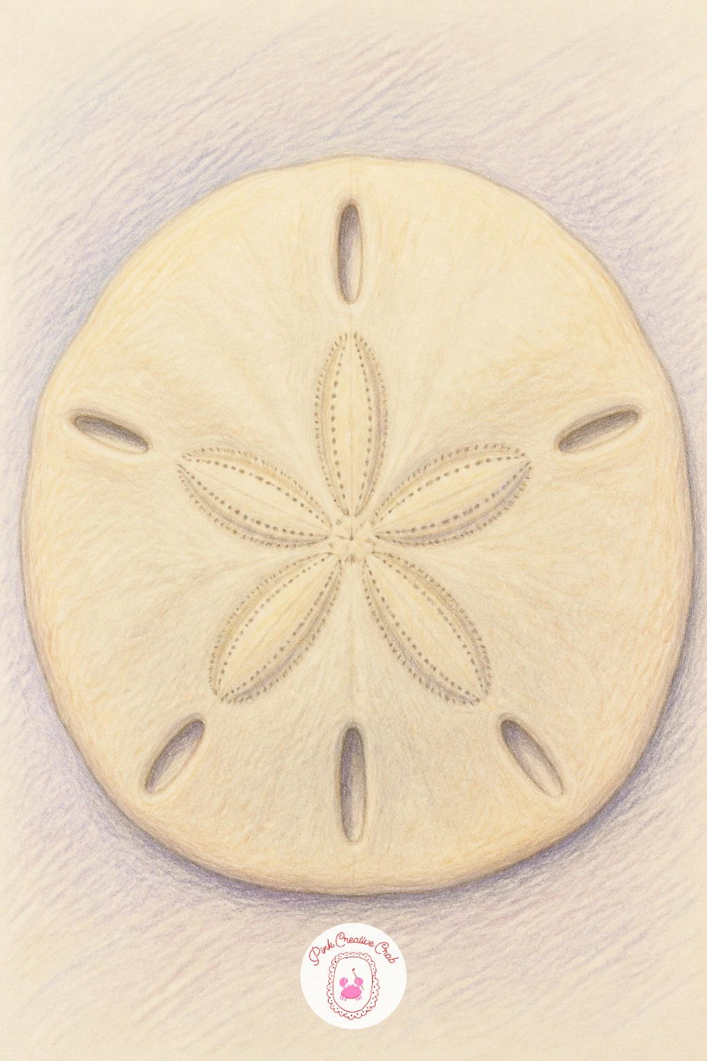 Sand Dollar — Simplify again with a sand dollar, a flat round subject that is mostly about surface pattern rather than form. Starfish drawing