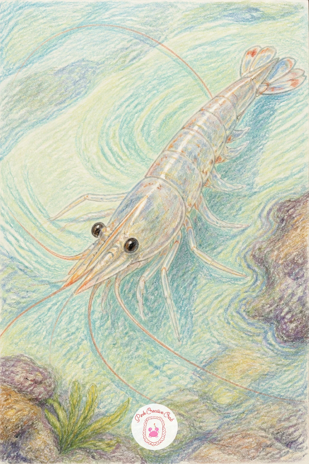 Shrimp in a Tide Pool — Add some delicate detail with a translucent shrimp drifting through a shallow tide pool, a nice change after the rounder, heavier