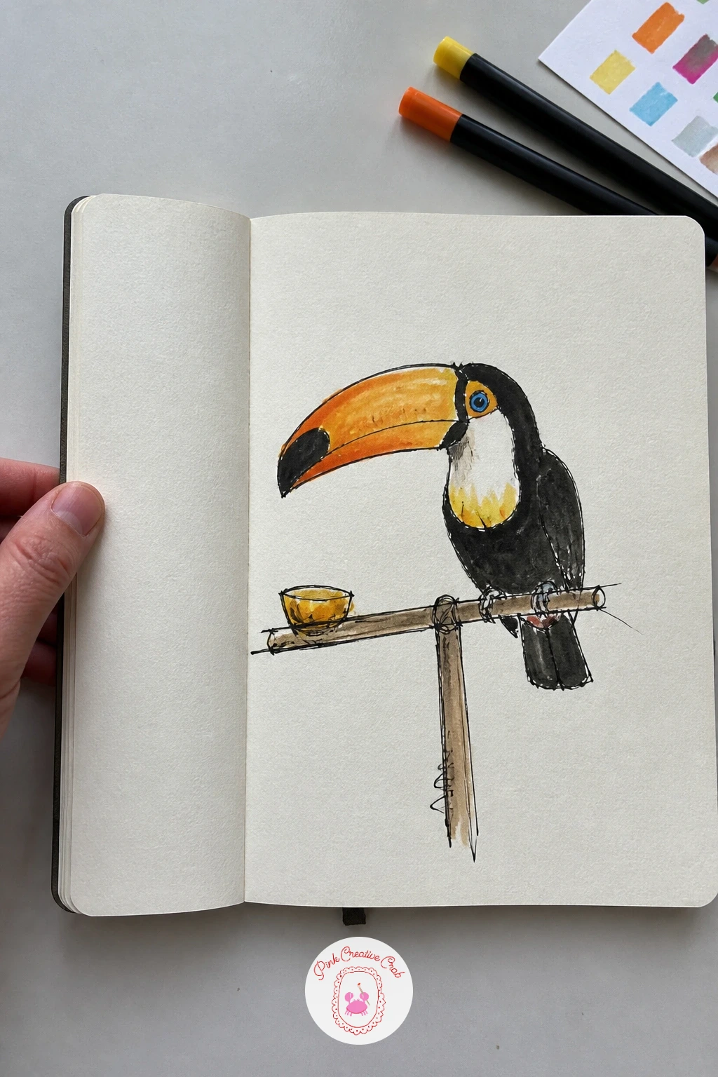 Toucan on a Feeding Stick — Perch a toucan on a feeding stick next, a subject that lives or dies on that oversized bill. Things to draw in your sketchbook