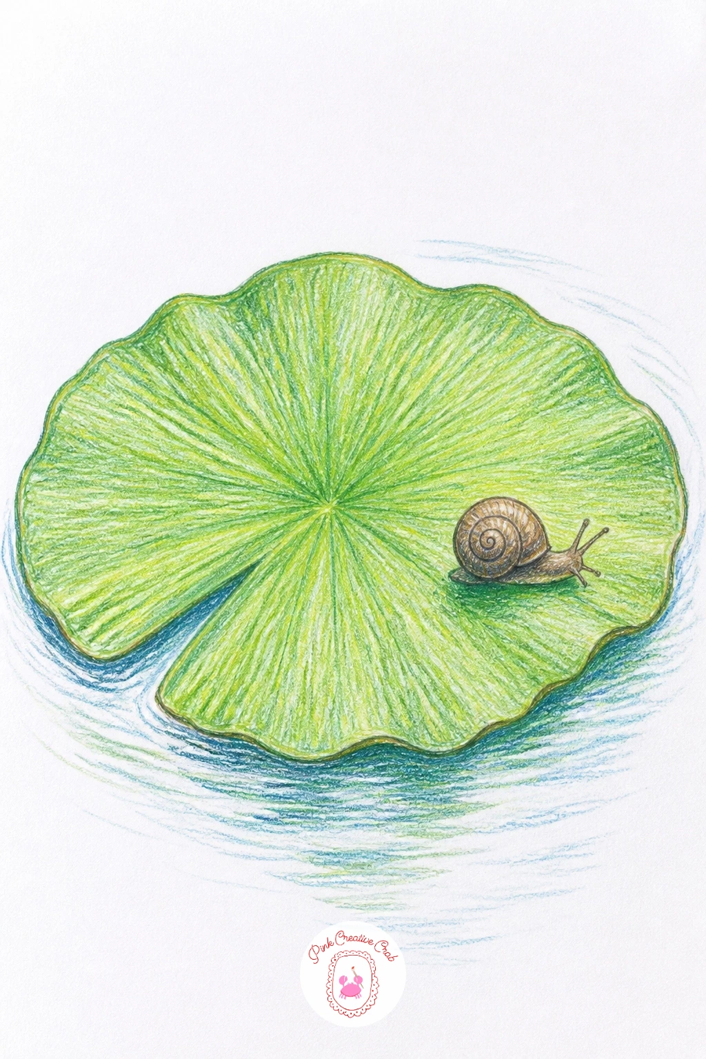 Floating Lily Pad With a Snail — Bring a tiny snail onto a single floating lily pad for a quiet, close-up moment with almost no flower in sight. Lotus flower