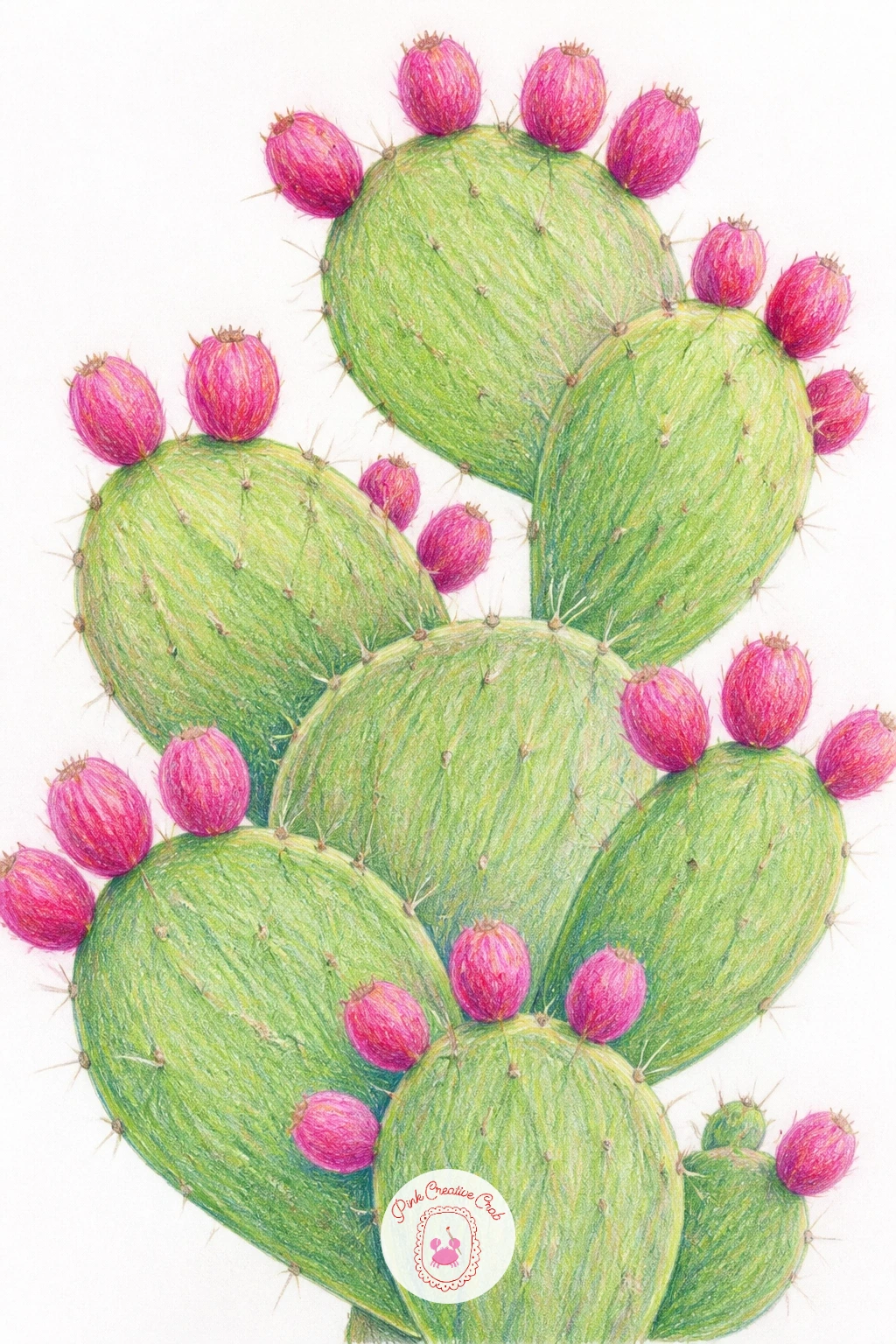 Prickly Pear With Pink Fruit — Once a single rounded cactus feels comfortable, try a prickly pear with pink fruit, which is really just a chain of flattened