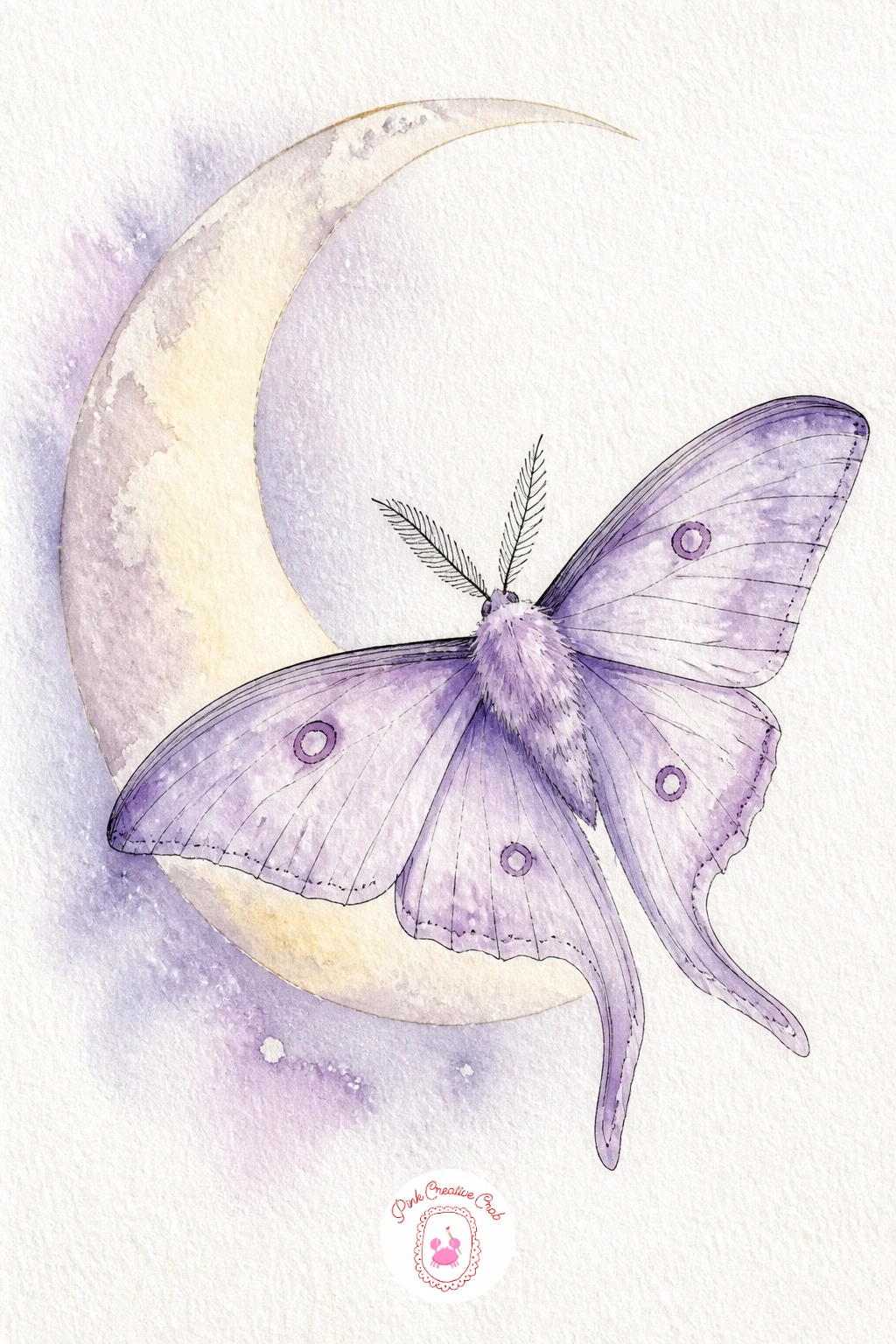 Moth Beside a Crescent Moon — Pair a moth with the night sky itself here, letting a simple crescent moon share the page instead of a flower or object. Moth