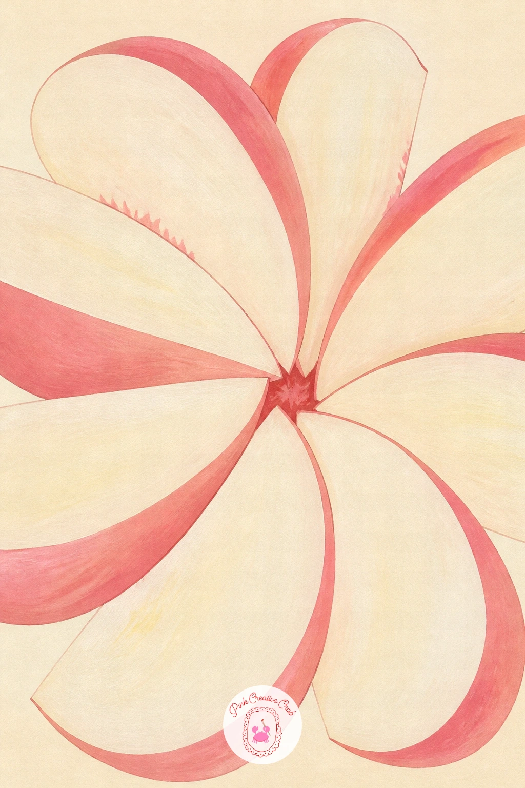 Sliced White Peach — Return to a close still life with a sliced white peach, a nice contrast to the yellow fleshed peach drawn earlier. Peach drawing