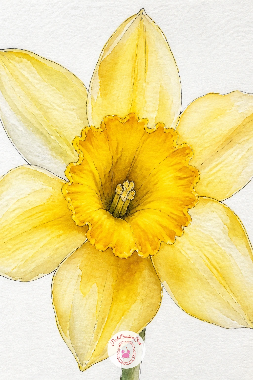 A Single Daffodil Trumpet — Zoom right in for this one and let a single daffodil trumpet fill the whole page, petals and all. Daffodil drawing