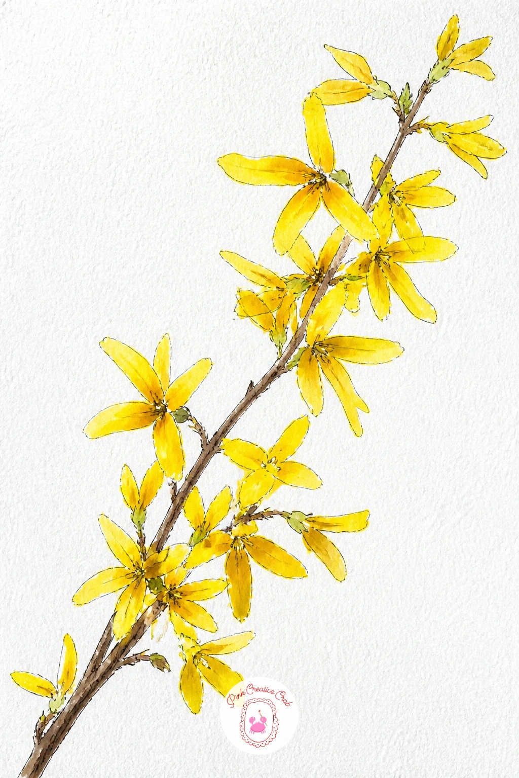 A Forsythia Branch — Paint a single forsythia branch next, the shrub that bursts into small yellow blossoms along its bare stems before any leaves appear