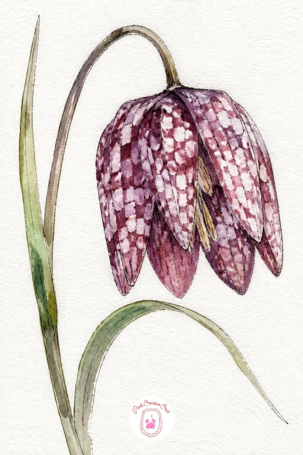A Snake's Head Fritillary — Paint a snake's head fritillary for one of the most unusual flowers on this whole list, its nodding bell shaped bloom covered in a