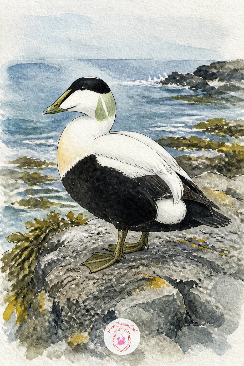 Eider Duck on a Rocky Shore — Push into a coastal mood with an eider duck on a rocky shore, swapping soft pond greens for cooler greys and the texture of