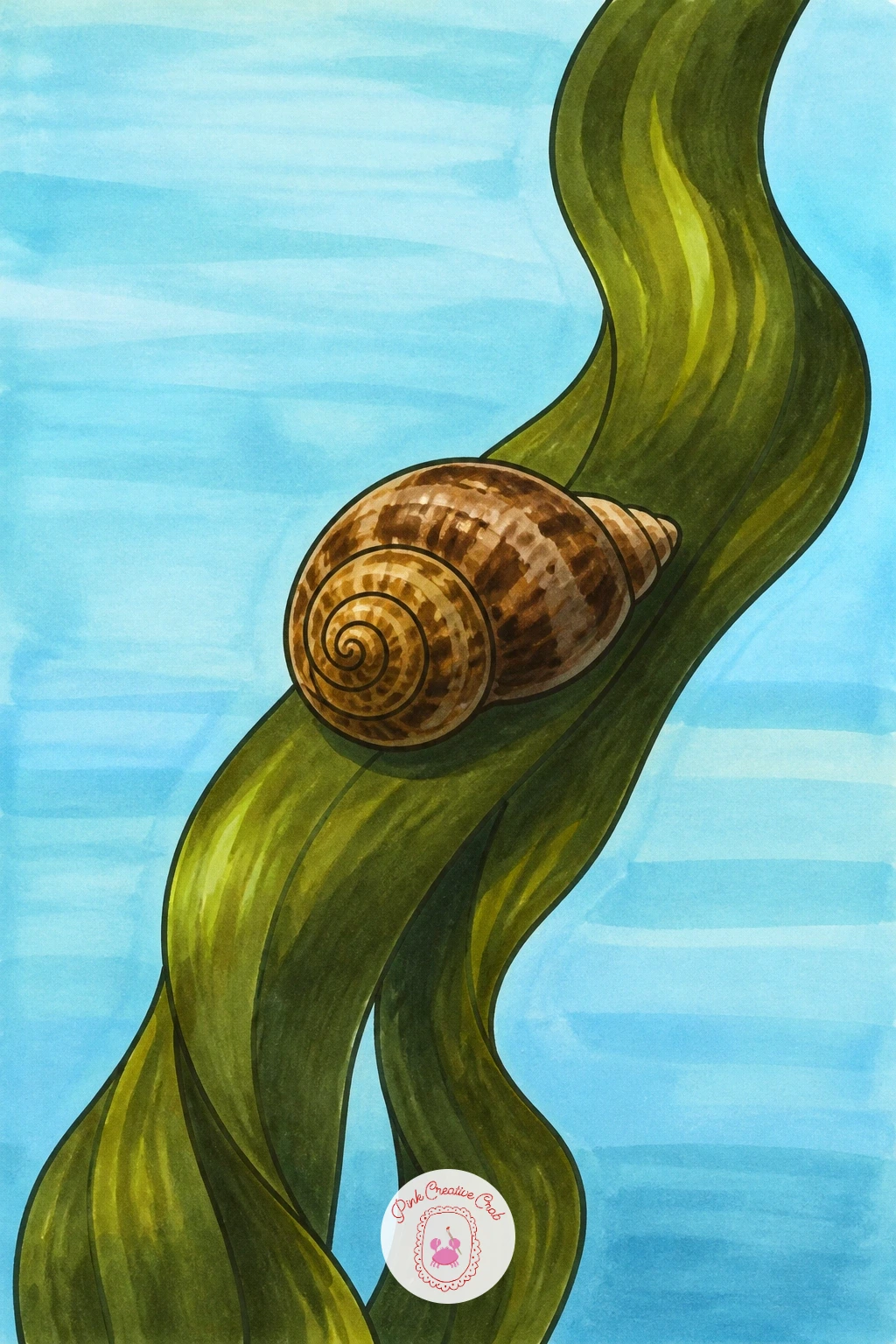 Periwinkle Snail on Seaweed — Scale right down for this one: a small spiral periwinkle snail resting on a ribbon of seaweed. Hermit crab drawing