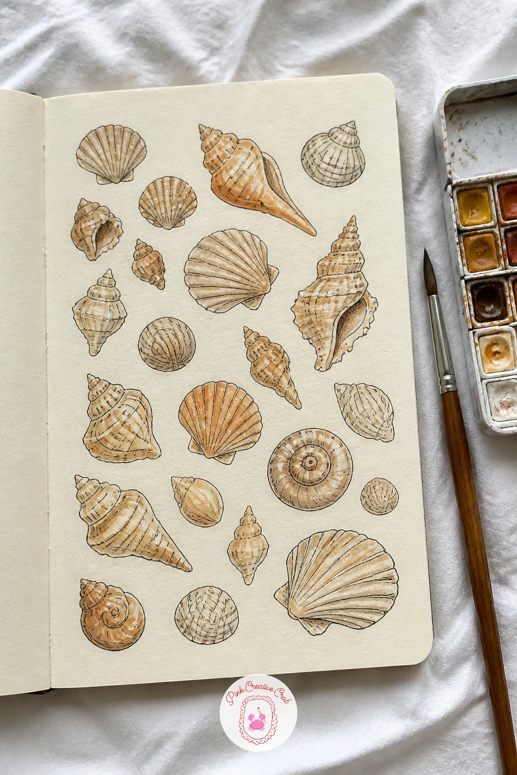 Seashells From the Beach Trip — Seashells reward a slow look because no two are quite symmetrical, which is actually good news: you do not need perfect