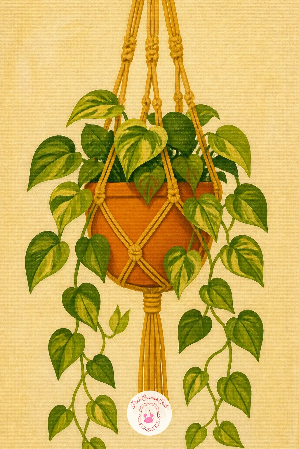 Macrame Hanger With Trailing Pothos — A macrame plant hanger with trailing pothos leaves is a gentle, pattern-based scene that slows things down after the