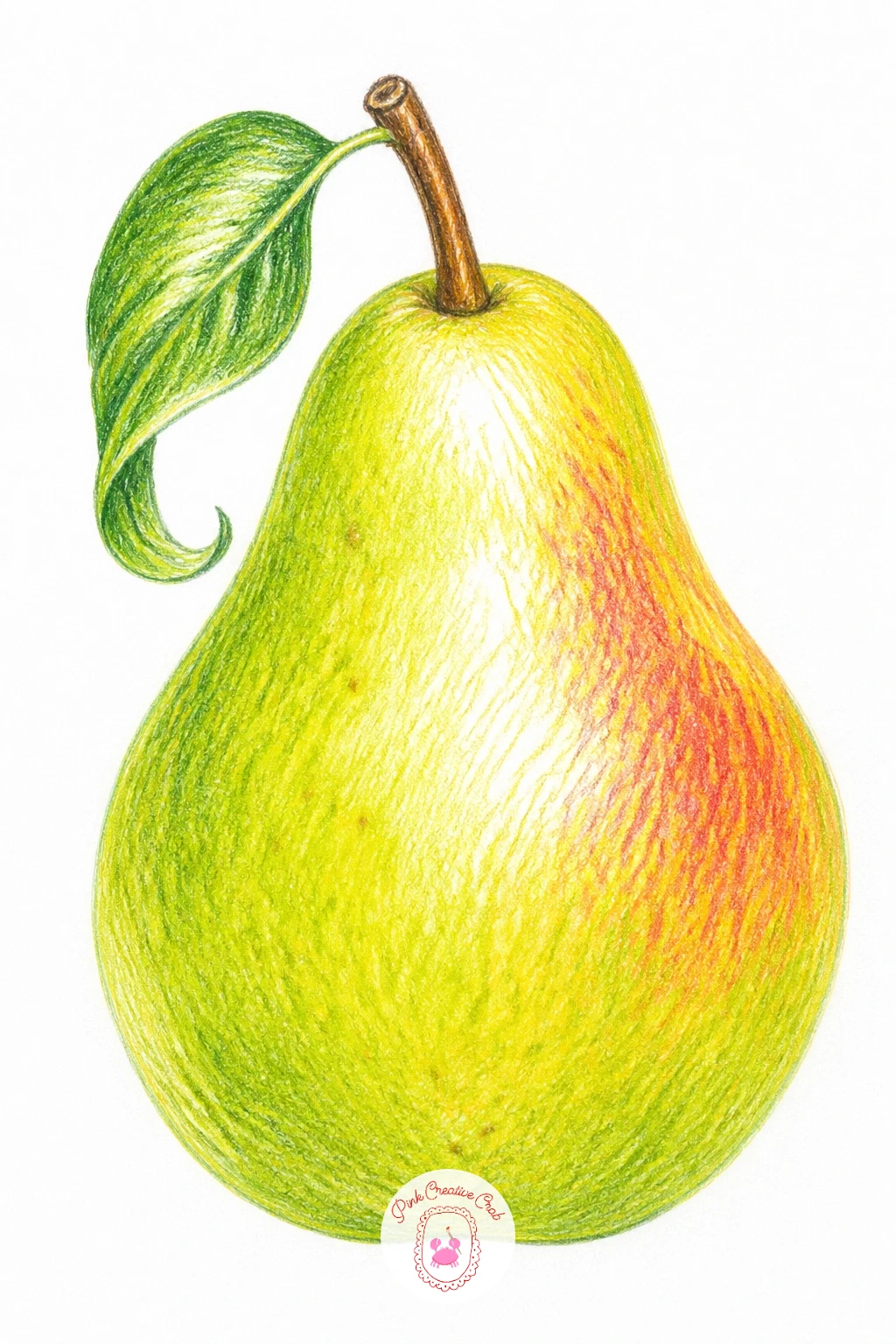 Ripe Pear With Curling Leaf — Start the whole list with the simplest version: one ripe pear, one small leaf curling off its stem. Pear drawing