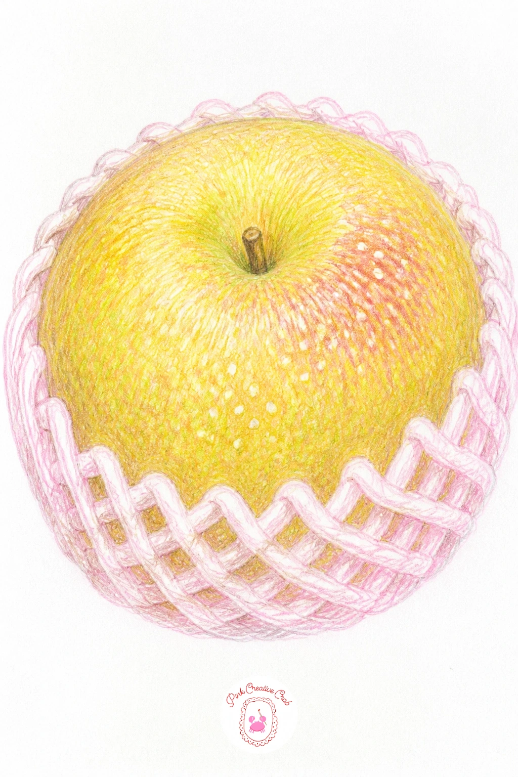 Asian Pear In Its Foam Net — Try a different shape and texture with an Asian pear, rounder than a European pear and still wrapped in its stretchy foam net from