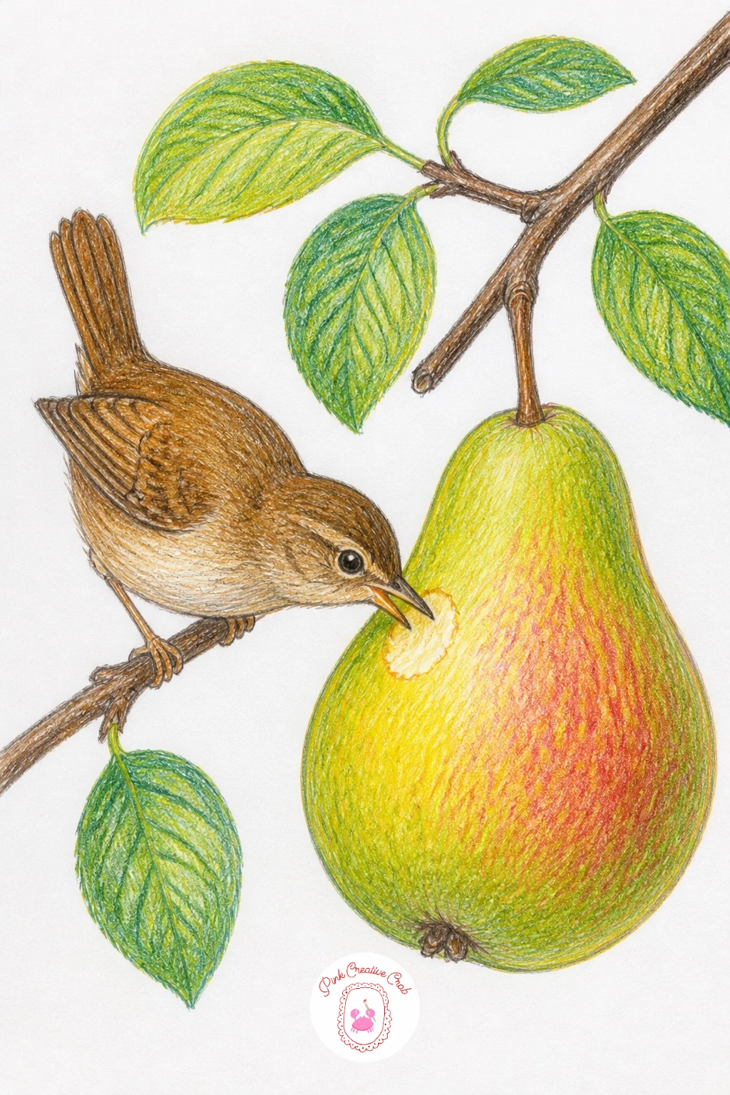 Little Bird Pecking A Pear On The Branch — Add a small animal moment with a little bird pecking at a pear still hanging on its branch. Pear drawing