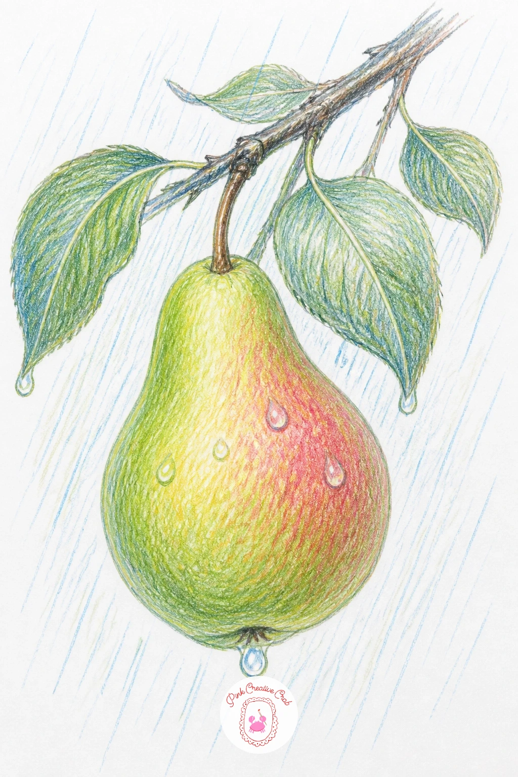 Pear On A Branch In The Rain — Give a single pear a weather story with raindrops falling around it while it still hangs on its branch. Pear drawing