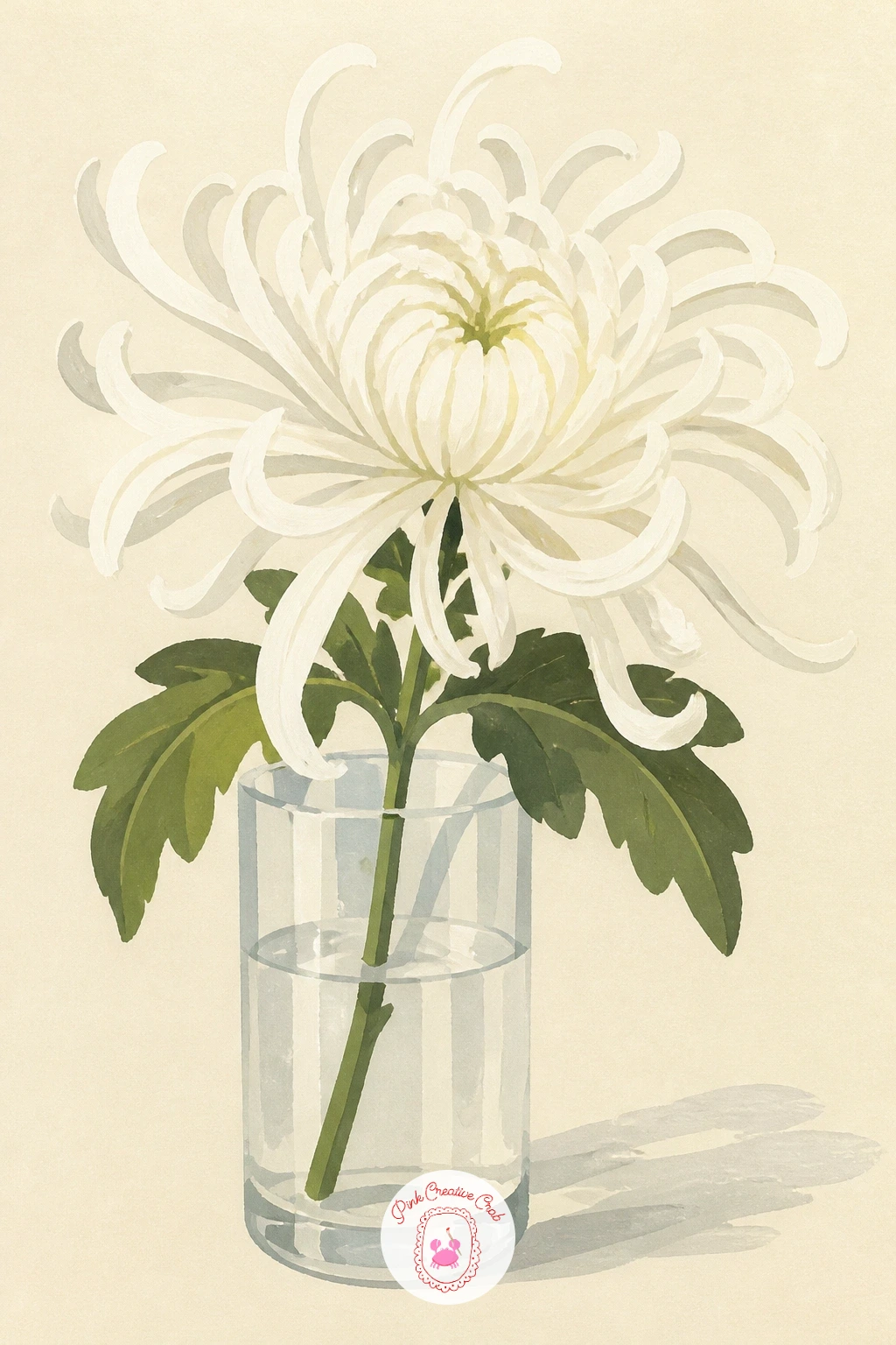 White Spider Chrysanthemum in Glass — Move from a full pot to a single stem: one white spider chrysanthemum standing alone in a glass vase. Chrysanthemum