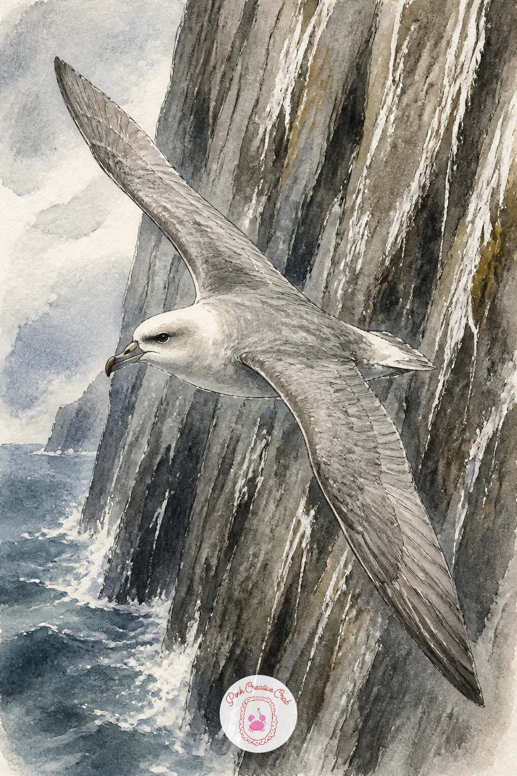 Fulmar Riding the Wind — Paint a fulmar riding the wind along a cliff edge, a stiff winged flier that holds its wings almost flat and rigid much like the