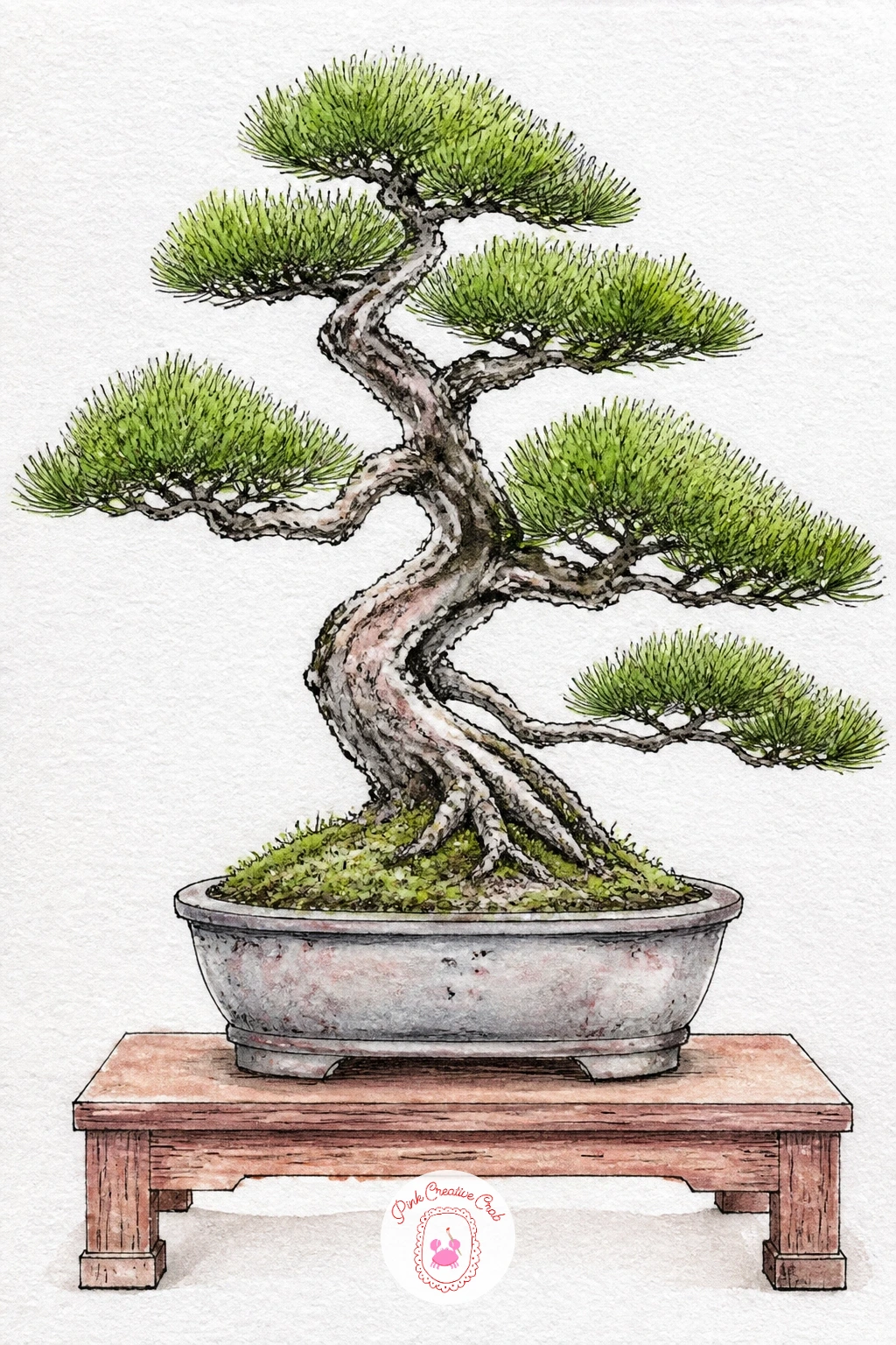 Pine Bonsai on a Wooden Stand — Settle into a pine bonsai next, the classic shape most people picture when they hear the word bonsai. Bonsai tree drawing