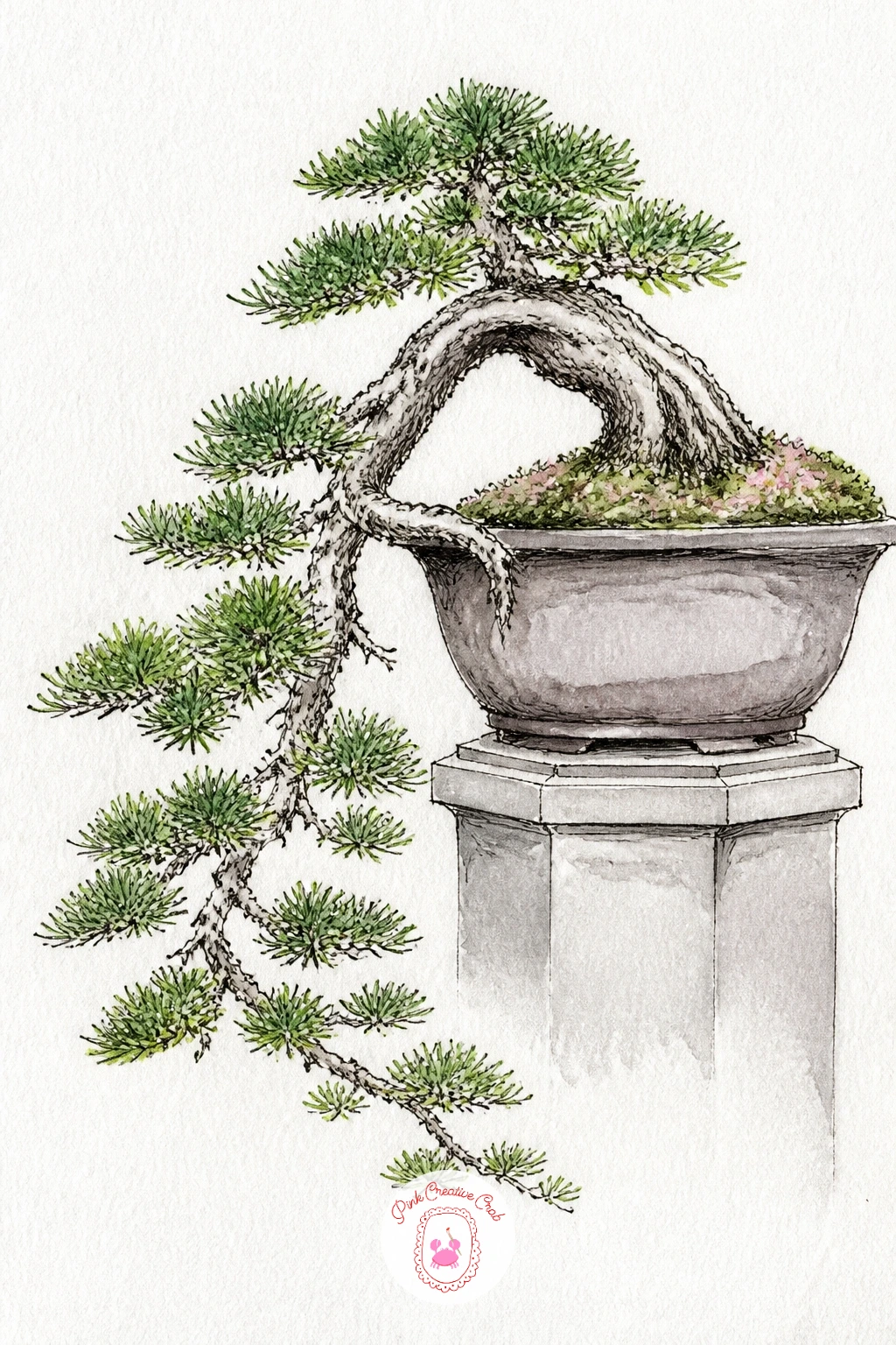 Cascade Bonsai Spilling Over Its Pot — Turn the pot upside down in your mind for a cascade bonsai, since this style grows downward over the rim rather than up.