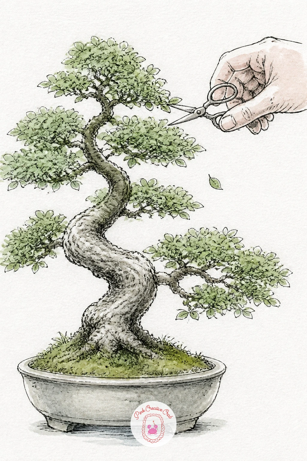 Bonsai Being Trimmed With Small Scissors — Add a hand into the scene for a bonsai being trimmed with small scissors, which turns a tree study into a small