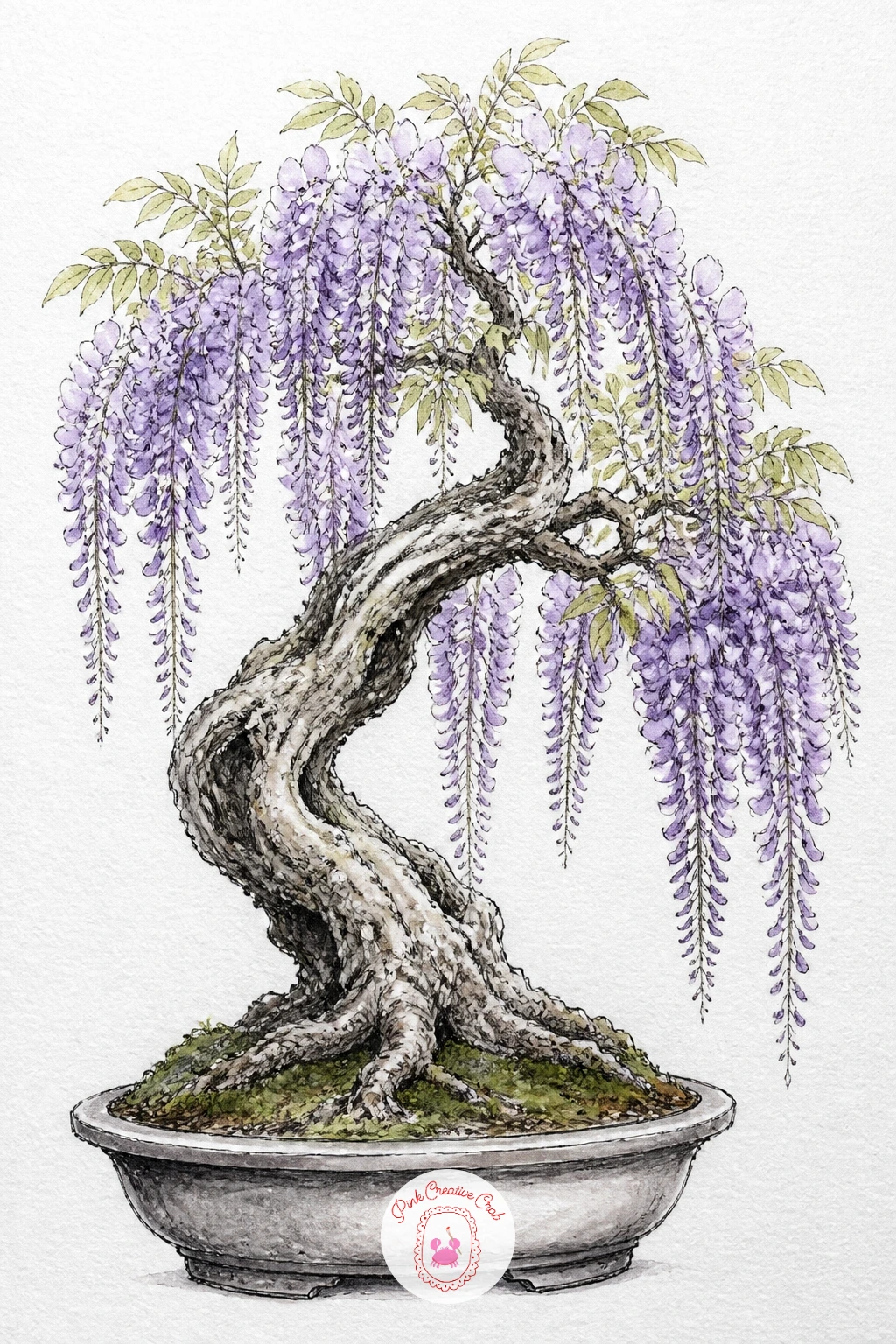 Wisteria Bonsai in Bloom — Let color trail downward with a wisteria bonsai in bloom, its long purple clusters hanging beneath a twisting woody trunk. Bonsai