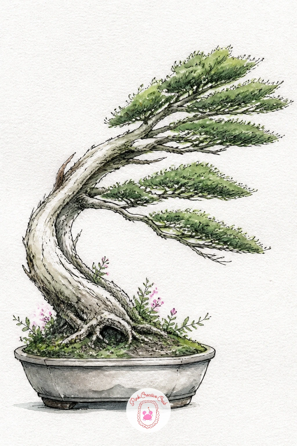 Bonsai With a Windswept Shape — Push a tree to one extreme with a windswept bonsai, its entire canopy and branches trained to lean hard in a single direction