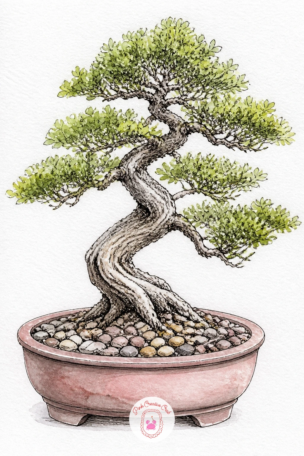 Bonsai Pot With Tiny Pebbles — Focus in close for a bonsai whose soil surface is covered in tiny pebbles, a detail real bonsai growers use to dress the surface