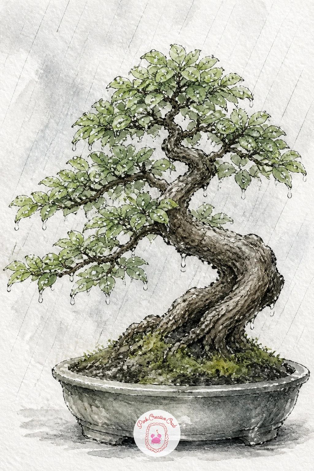 Bonsai in Rain With Drops on the Leaves — Bring movement into a still subject with a bonsai caught in rain, water beaded across its leaves. Bonsai tree drawing